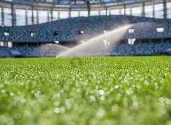 黎姿素颜现,身豪宅,亿浴室奢华,欧亿体育官网,欧亿体育平台,欧亿体育链接,欧亿体育官方